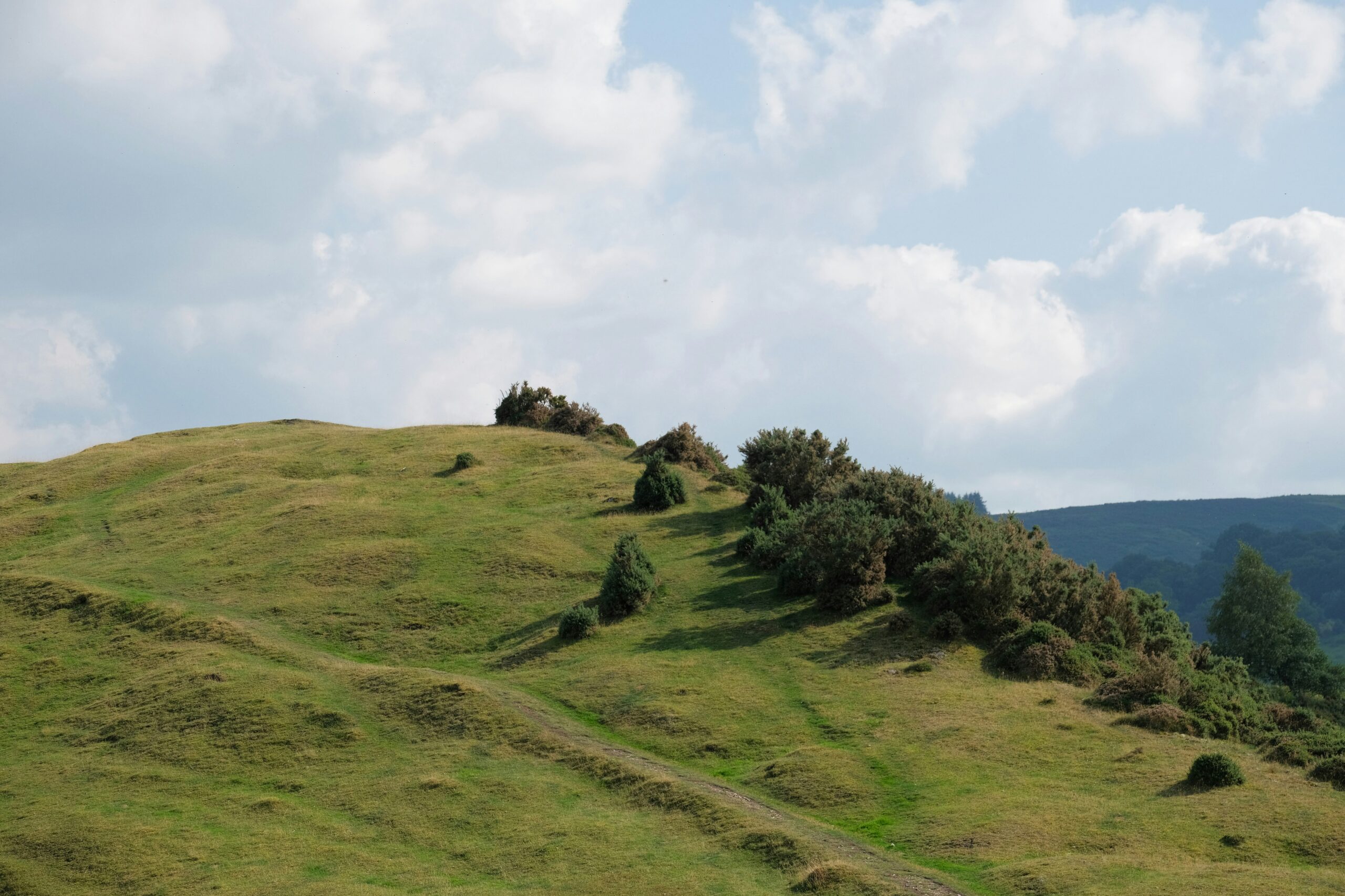 paysage d'une coline verte avec quelques arbres sous un ciel bleu avec quelques nuages